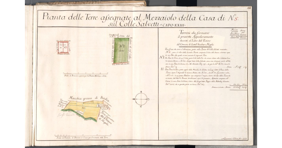 Pianta delle Terre assegnate al Mezzaiolo della Casa di N. 5 sul Colle Salvetti