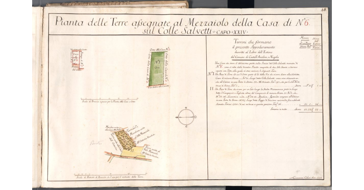 Pianta delle Terre assegnate al mezzaiolo della Casa di N. 6 sul Colle Salvetti