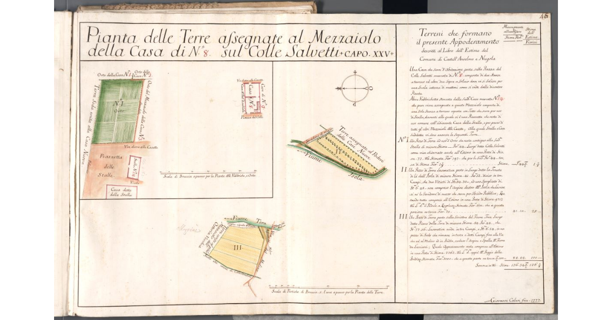 Pianta delle Terre assegnate al Mezzaiolo della Casa di N. 8 sul Colle Salvetti