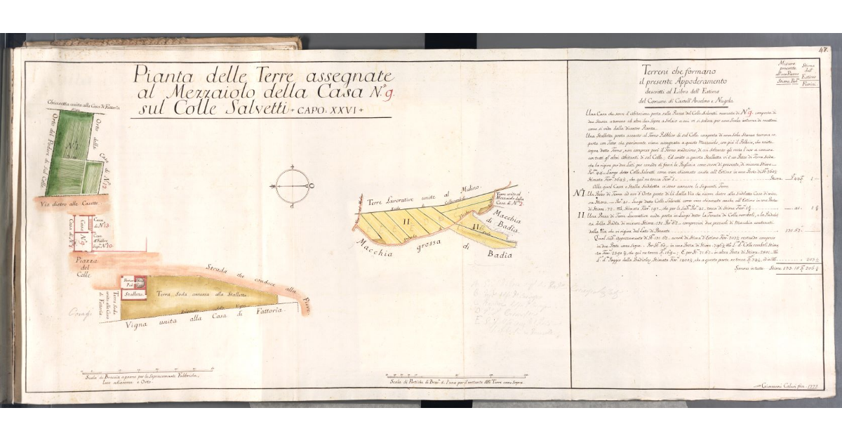 Pianta delle Terre assegnate al Mezzaiolo della Casa N. 9 sul Colle Salvetti