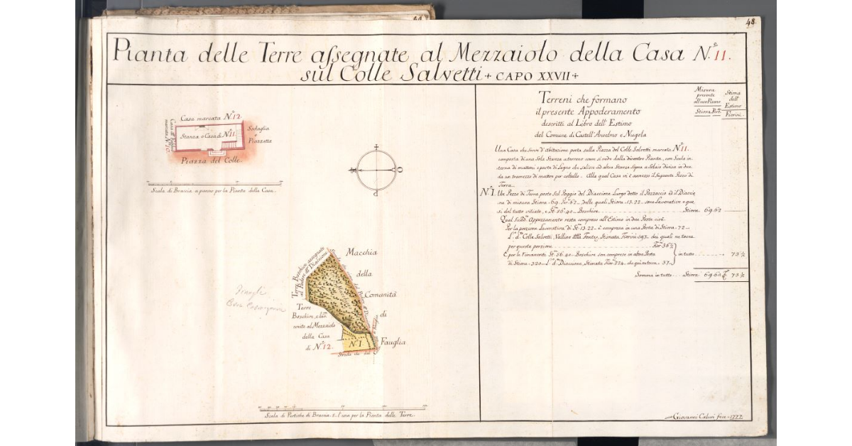 Pianta delle terre assegnate al Mezzaiolo della Casa N. 11 sul Colle Salvetti