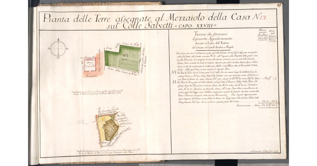 Pianta delle Terre assegnate al Mezzaiolo della Casa N. 12 sul Colle Salvetti