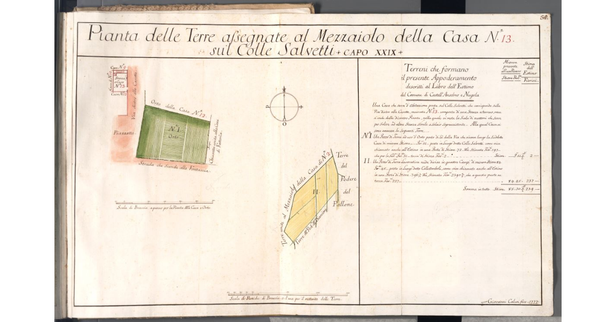 Pianta delle Terre assegnate al Mezzaiolo della Casa N. 13 sul Colle Salvetti