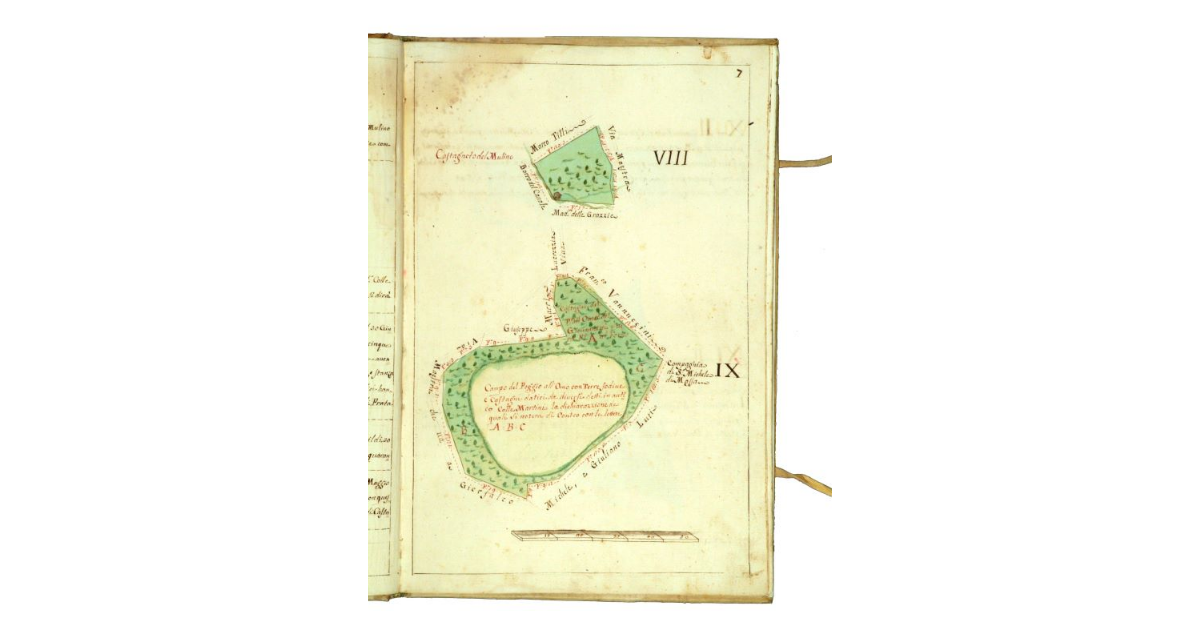 [Mappa raffigurante due castagneti]