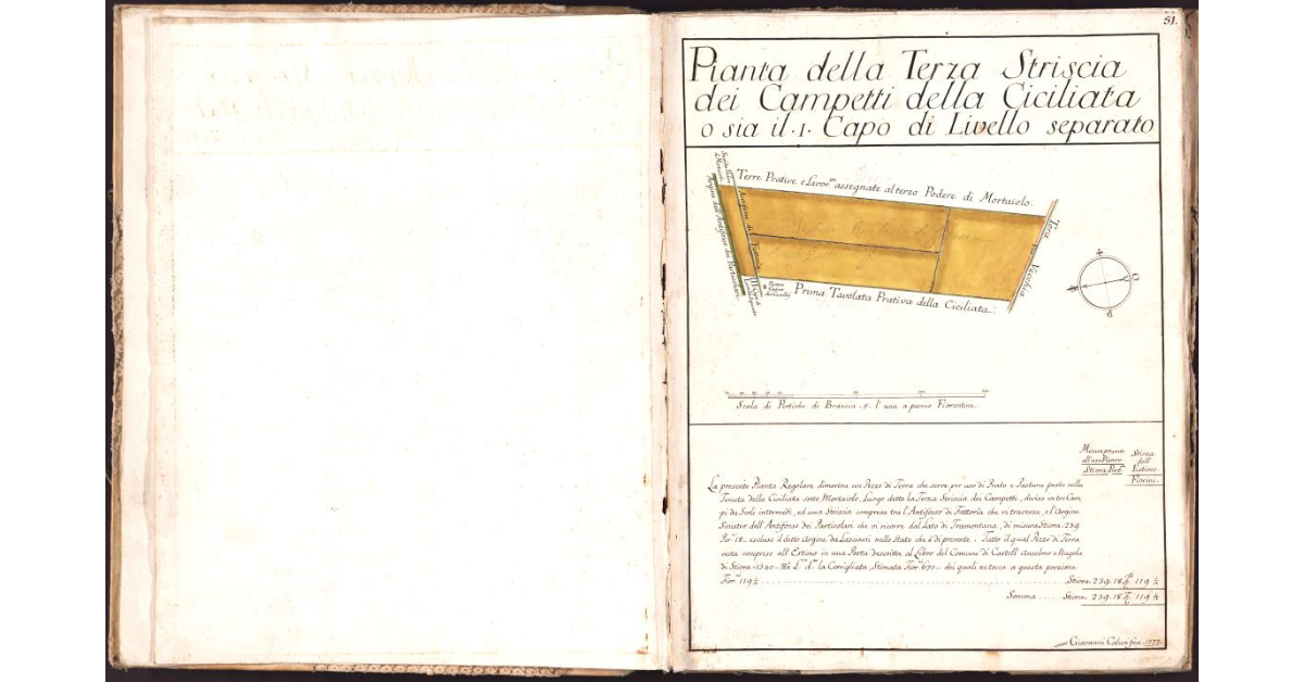 Pianta della Terza Striscia dei Campetti della Ciciliata o sia il I Capo di Livello separato