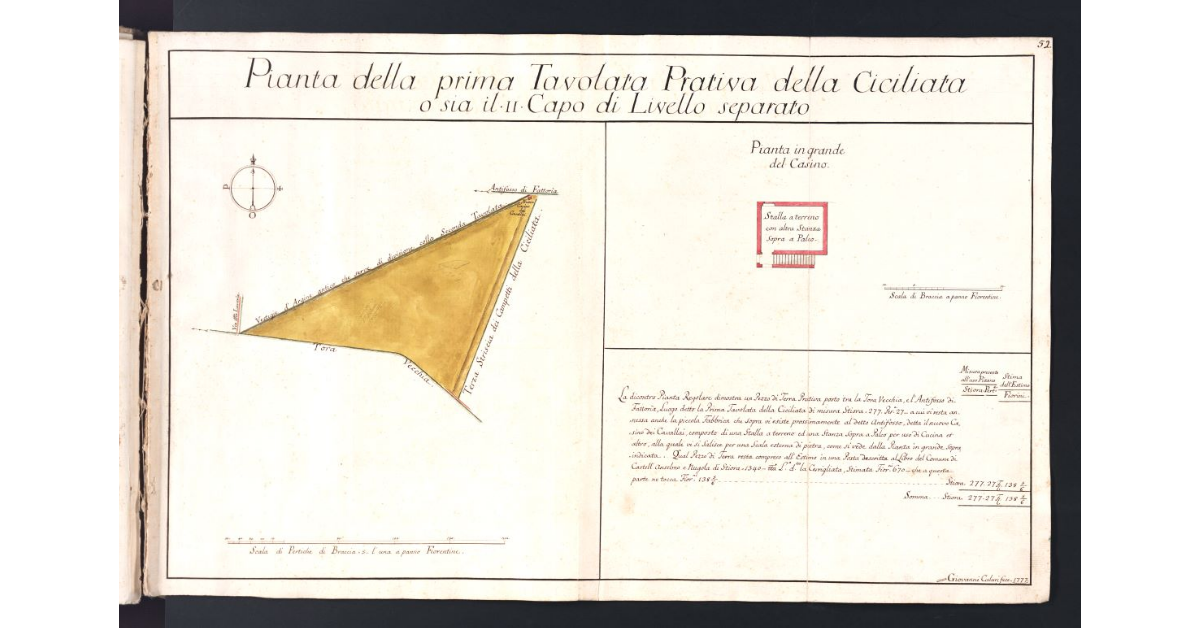 Pianta della prima Tavolata Prativa della Ciciliata o sia il II Capo di Livello separato