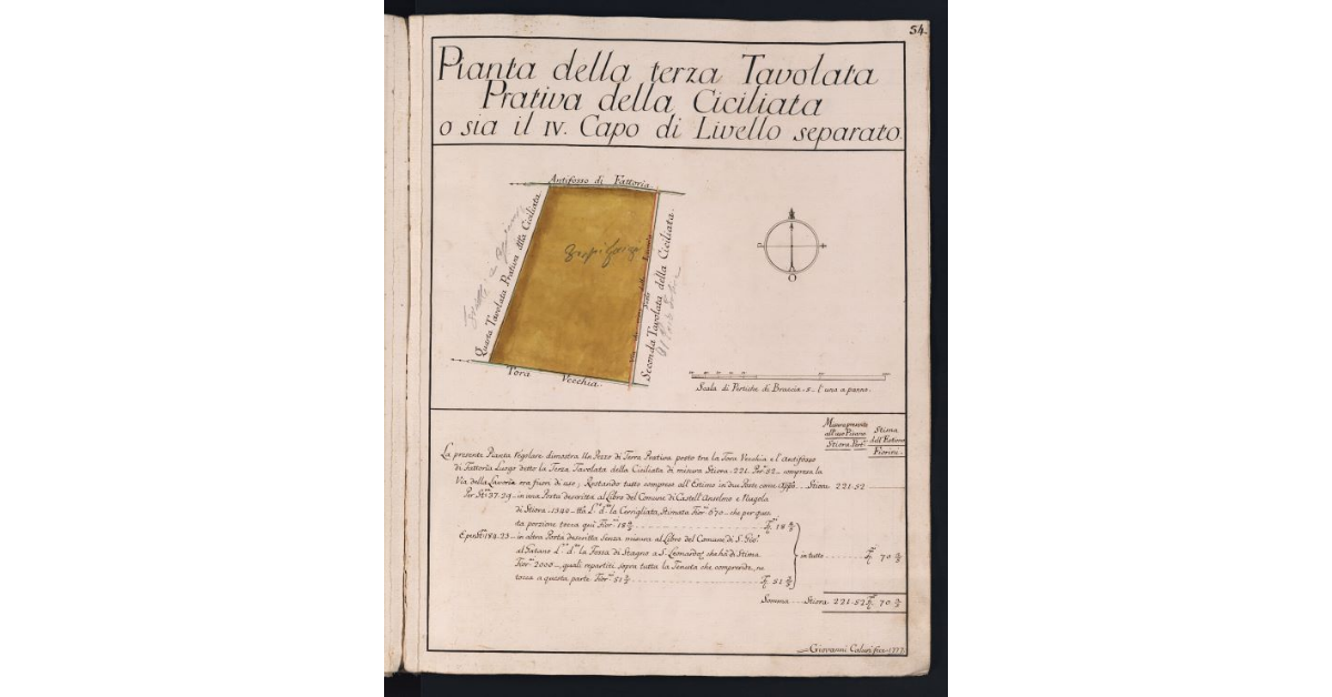 Pianta della terza Tavolata Prativa della Ciciliata o sia il IV Capo di Livello separato