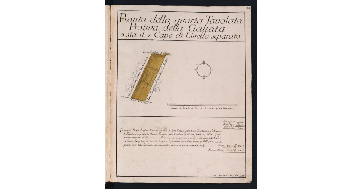 Pianta della quarta Tavolata Prativa della Ciciliata o sia il V Capo di Livello separato