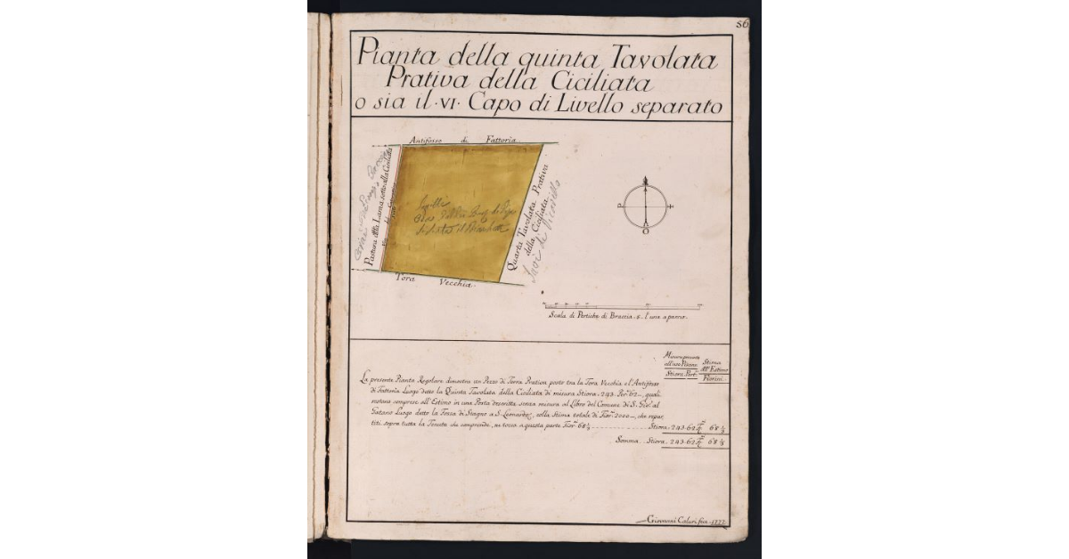 Pianta della quinta Tavolata Prativa della Ciciliata o sia il VI Capo di Livello separato