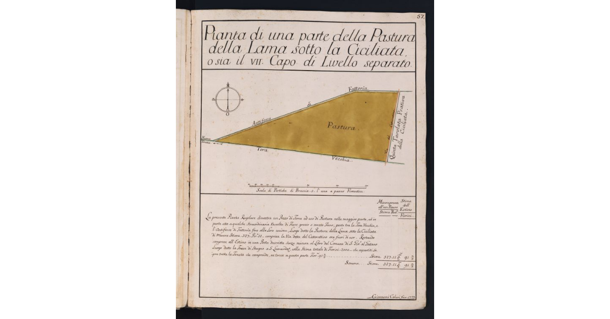 Pianta di una parte della Pastura della Lama sotto la Ciciliata o sia il VII Capo di Livello separato