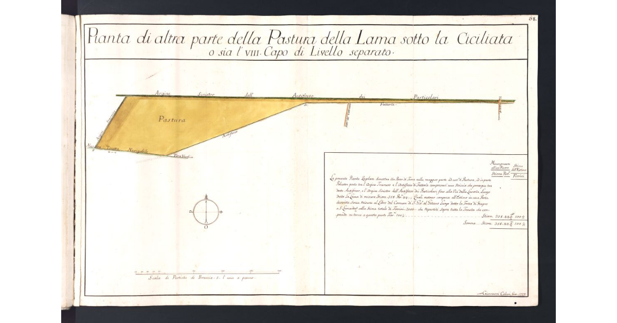 Pianta di altra parte della Pastura della Lama sotto la Ciciliata o sia l'VIII Capo di Livello separato