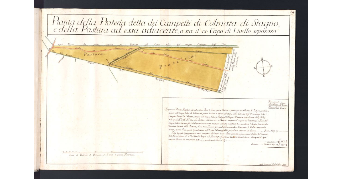 Pianta della Prateria detta dei Campetti di Colmata di Stagno, e della Pastura ad essa adiacente, o sia il IX Capo di Livello separato