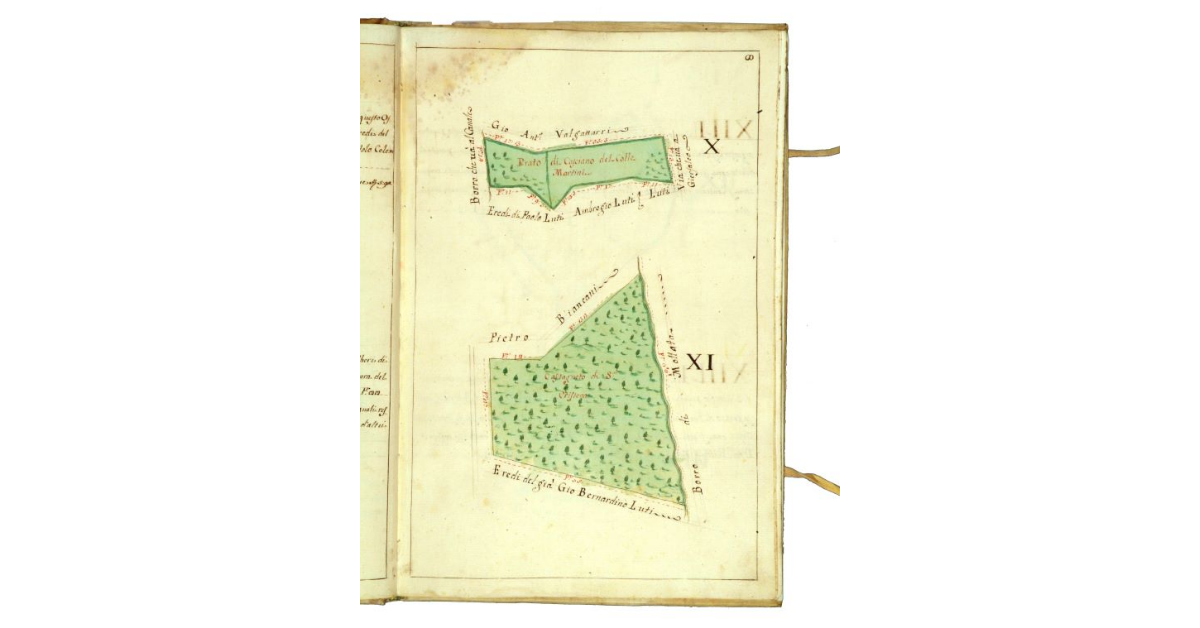 [Mappa raffigurante un appezzamento prativo ed un castagneto]