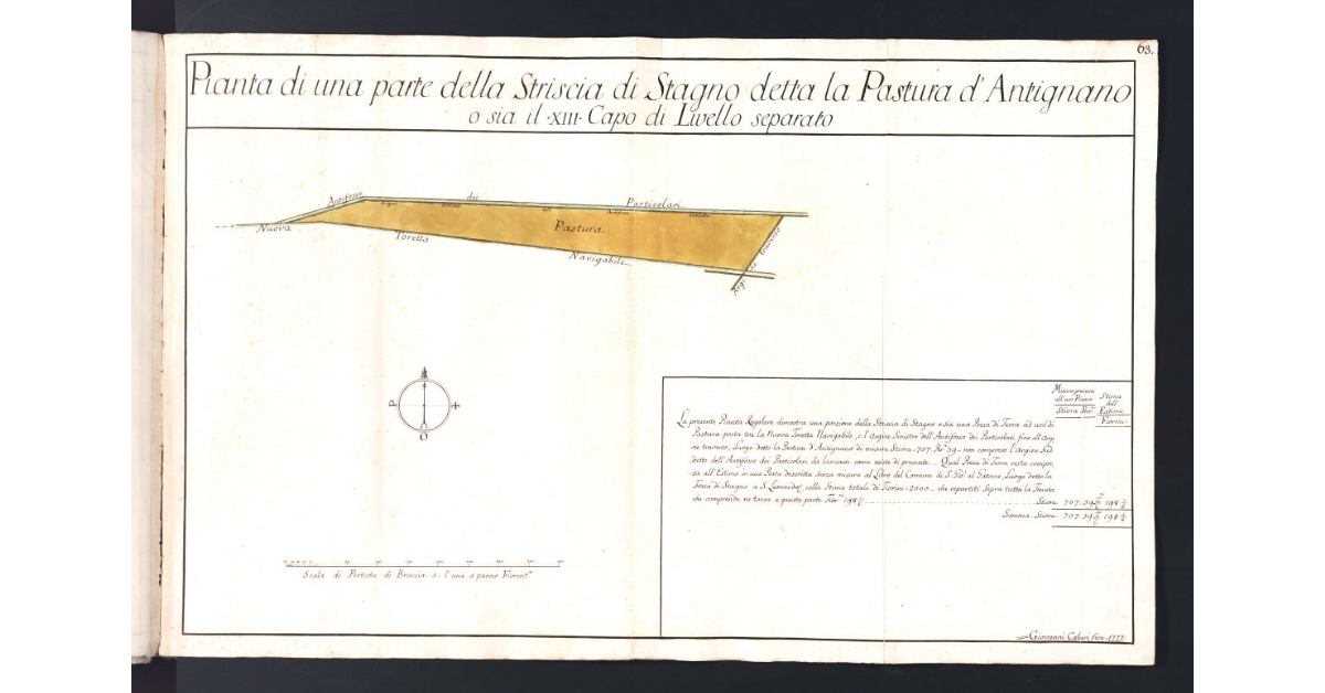 Pianta di una parte della Striscia di Stagno detta la Pastura d'Antignano o sia il XIII Capo di Livello separato
