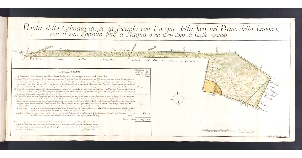 Pianta della Colmata che si va' facendo con l'acque della Tora nel piano della Lavoria, con il suo Spaglio fino a Stagno, o sia il XV Capo di Livello separato
