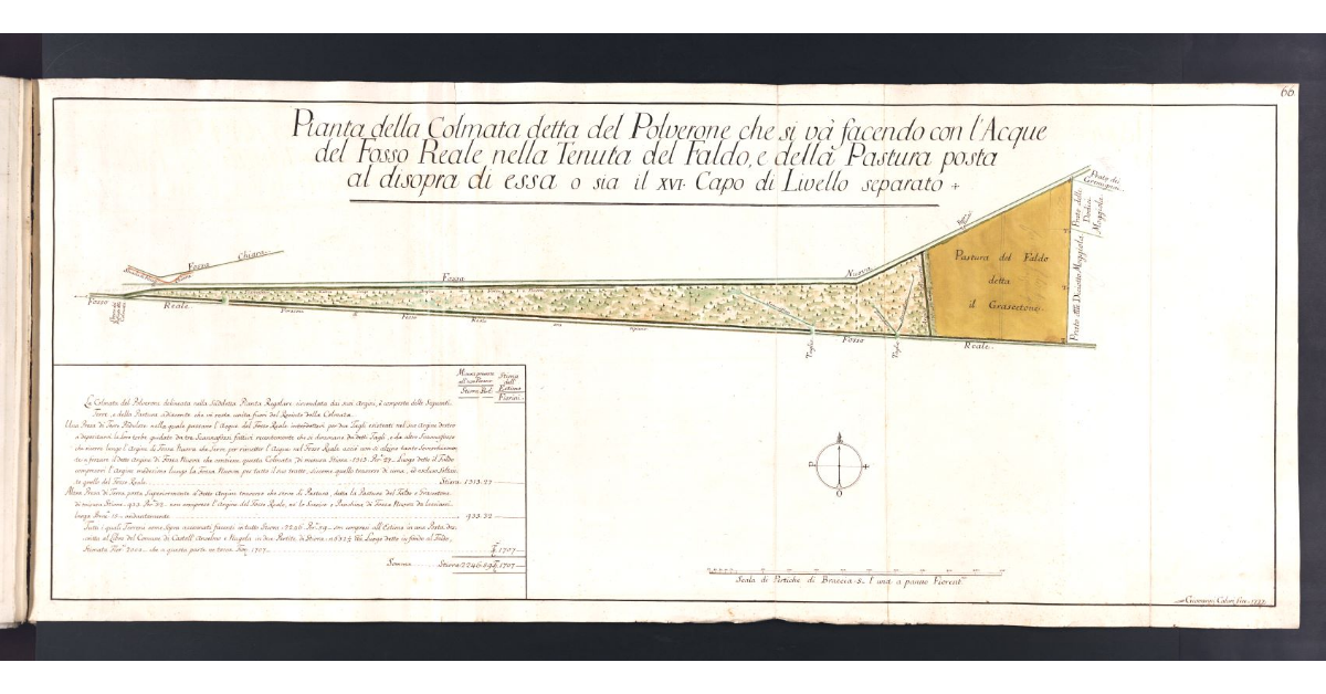 Pianta della Colmata detta del Polverone che si va' facendo con l'Acque del Fosso Reale nella Tenuta del Faldo, e della Pastura posta al disopra di essa o sia il XVI Capo di Livello separato