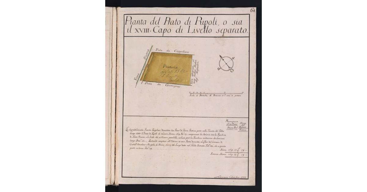 Pianta del Prato di Ripoli, o sia il XVIII Capo di Livello separato