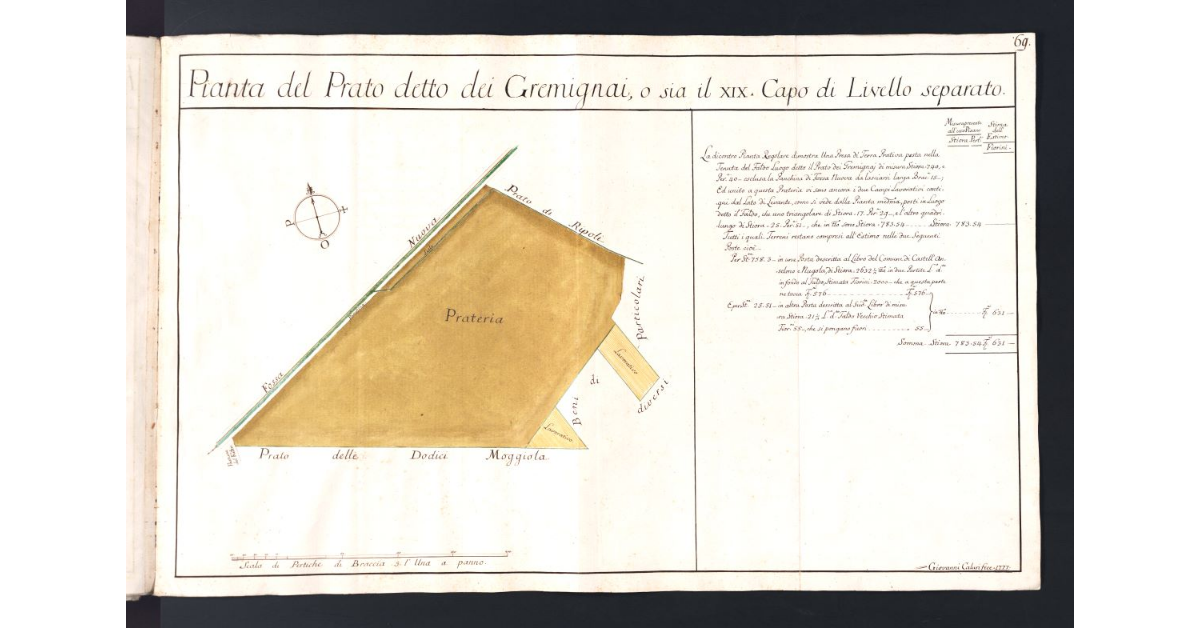 Pianta del Prato detto dei Gremignai, o sia il XIX Capo di Livello separato