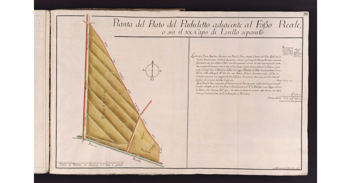 Pianta del Prato del Paduletto adiacente al Fosso Reale, o sia il XX Capo di Livello separato