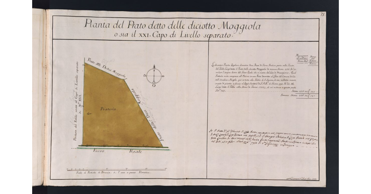 Pianta del Prato detto delle diciotto Moggiola o sia il XXI Capo di Livello separato