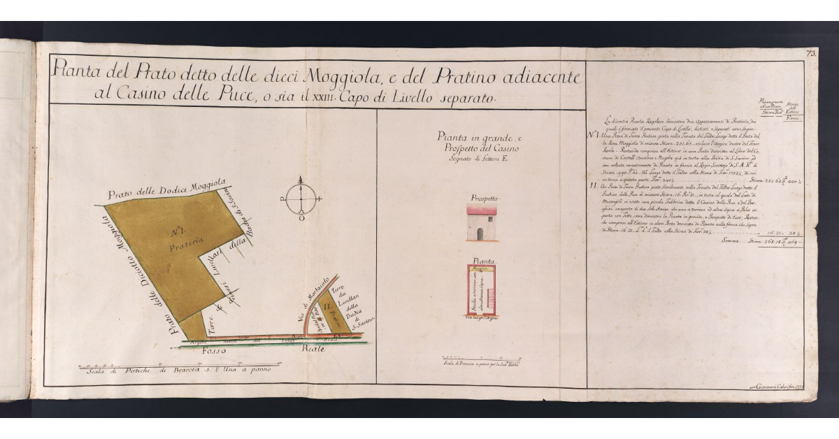 Pianta del Prato detto delle dieci Moggiola, e del Pratino adiacente al Casino delle Puce, o sia il XXIII Capo di Livello separato