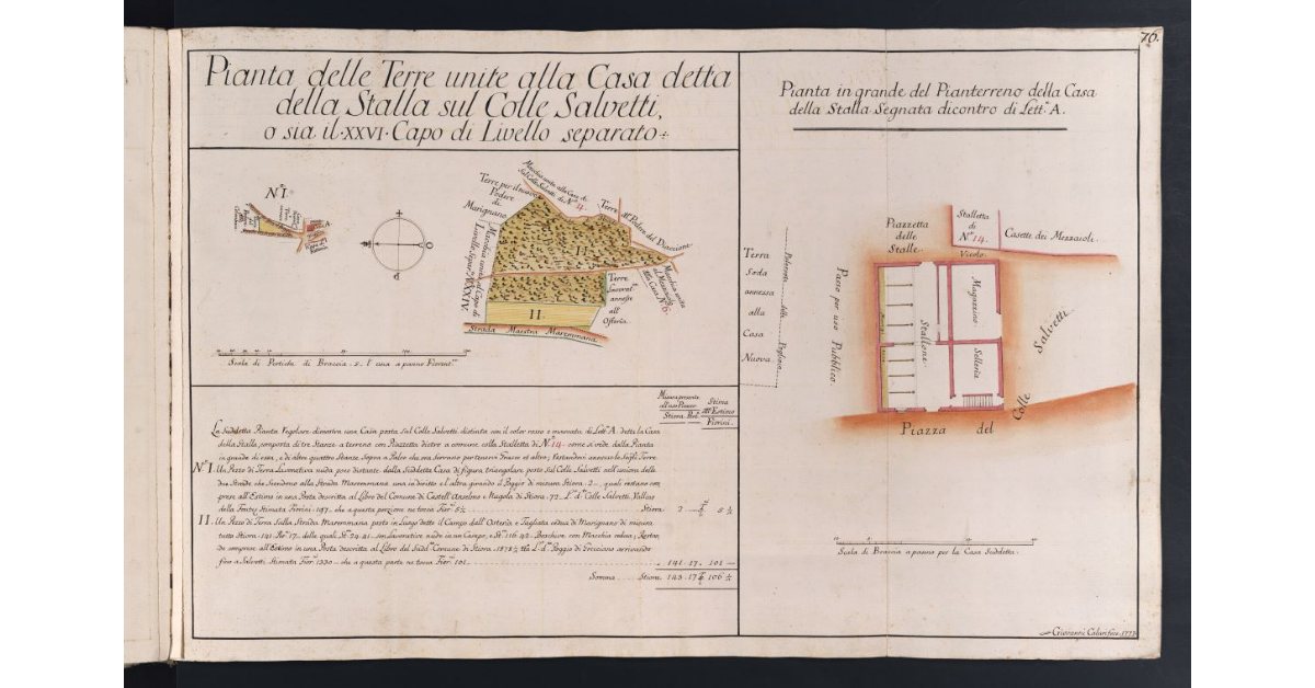 Pianta delle Terre unite alla Casa detta della Stalla sul Colle Salvetti, o sia il XXVI Capo di Livello separato