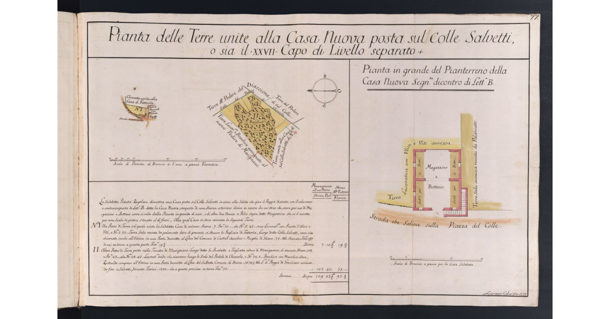 Pianta delle Terre unite alla Casa Nuova posta sul Colle Salvetti, o sia il XXVII Capo di Livello separato