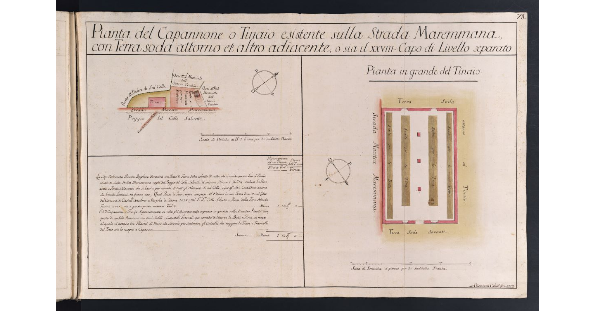 Pianta del Capannone o Tinaio esistente sulla Strada Maremmana, con Terra soda attorno et altro adiacente, o sia il XXVIII Capo di Livello separato
