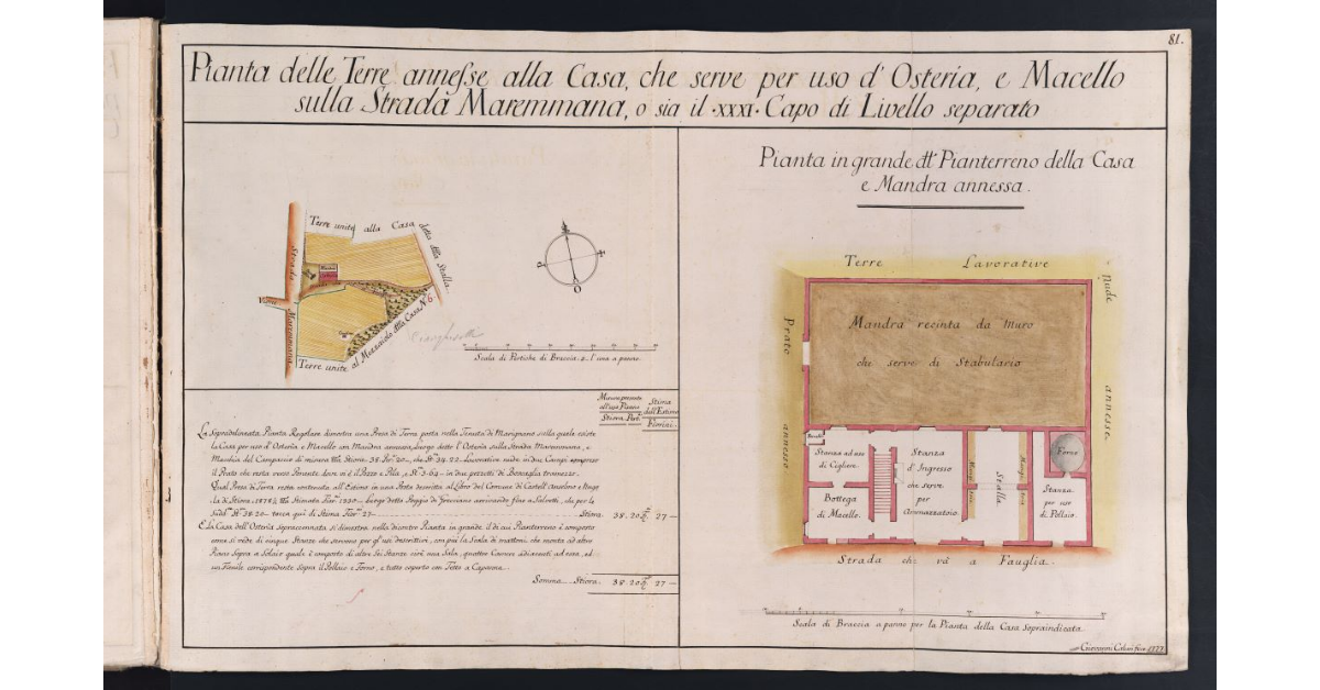 Pianta delle Terre annesse alla Casa, che serve per uso d'Osteria, e Macello sulla Strada Maremmana, o sia il XXXI Capo di Livello separato