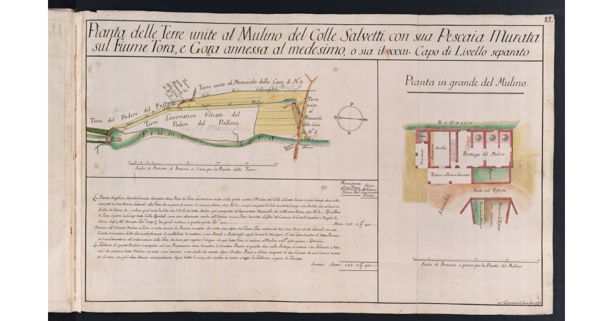 Pianta delle Terre unite al Mulino del Colle Salvetti, con sua Pescaia Murata sul Fiume Tora, e Gora annessa al medesimo, o sia il XXXII Capo di Livello separato