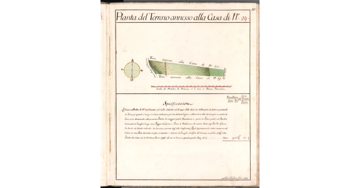 Pianta del Terreno annesso alla Casa di N. 24