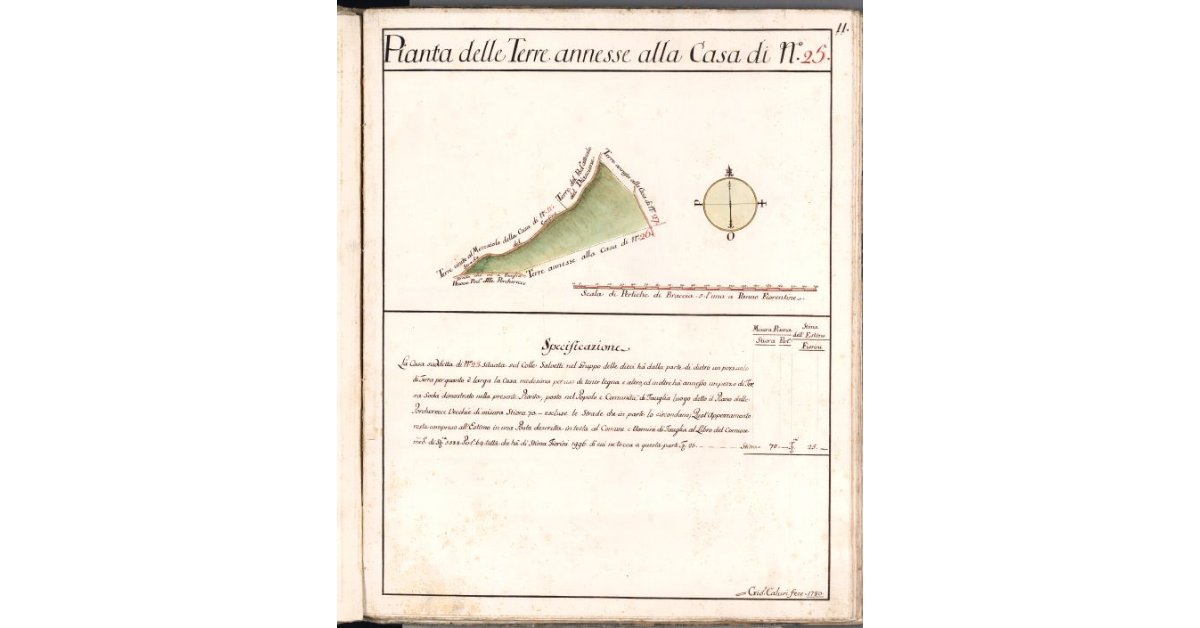 Pianta delle Terre annesse alla Casa di N. 25