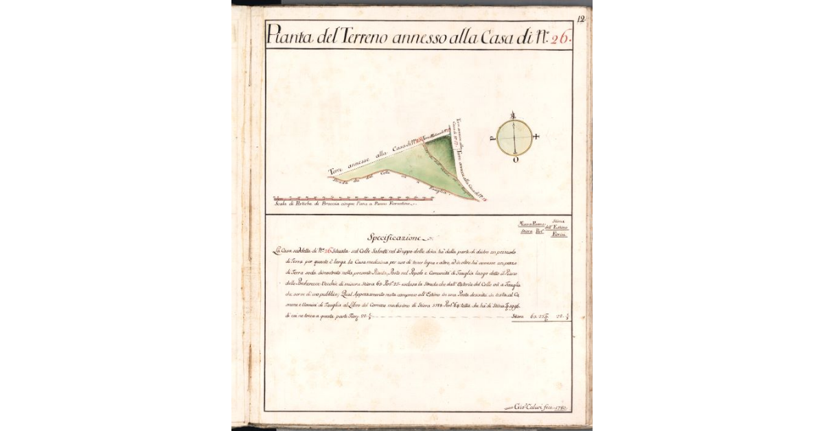 Pianta del Terreno anneso alla casa di N. 26