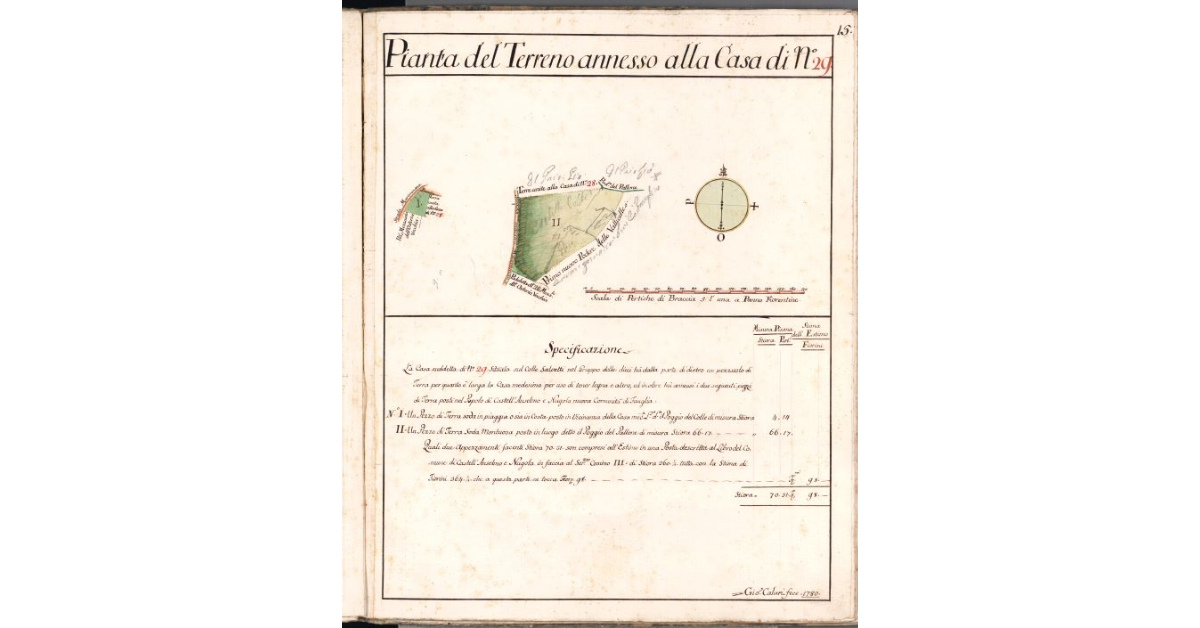 Pianta del Terreno annesso alla Casa di N. 29