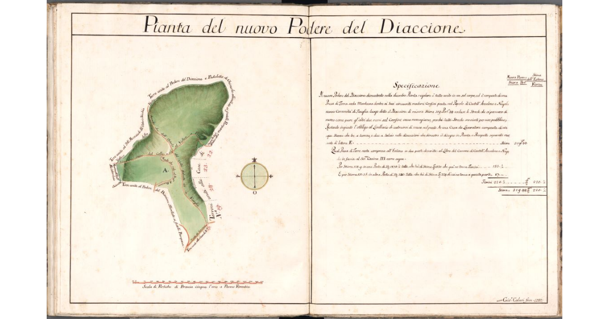 Pianta del nuovo Podere del Diaccione