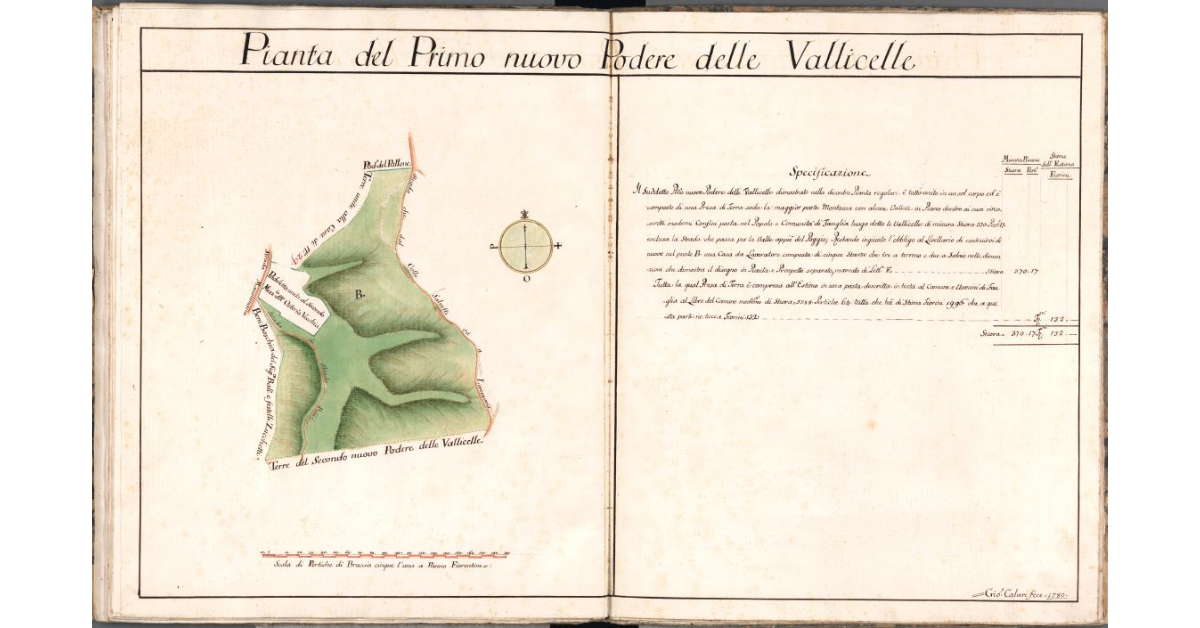 Pianta del Primo nuovo Podere delle Vallicelle