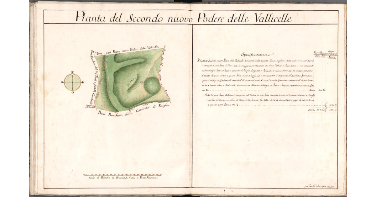 Pianta del Secondo nuovo Podere delle Vallicelle