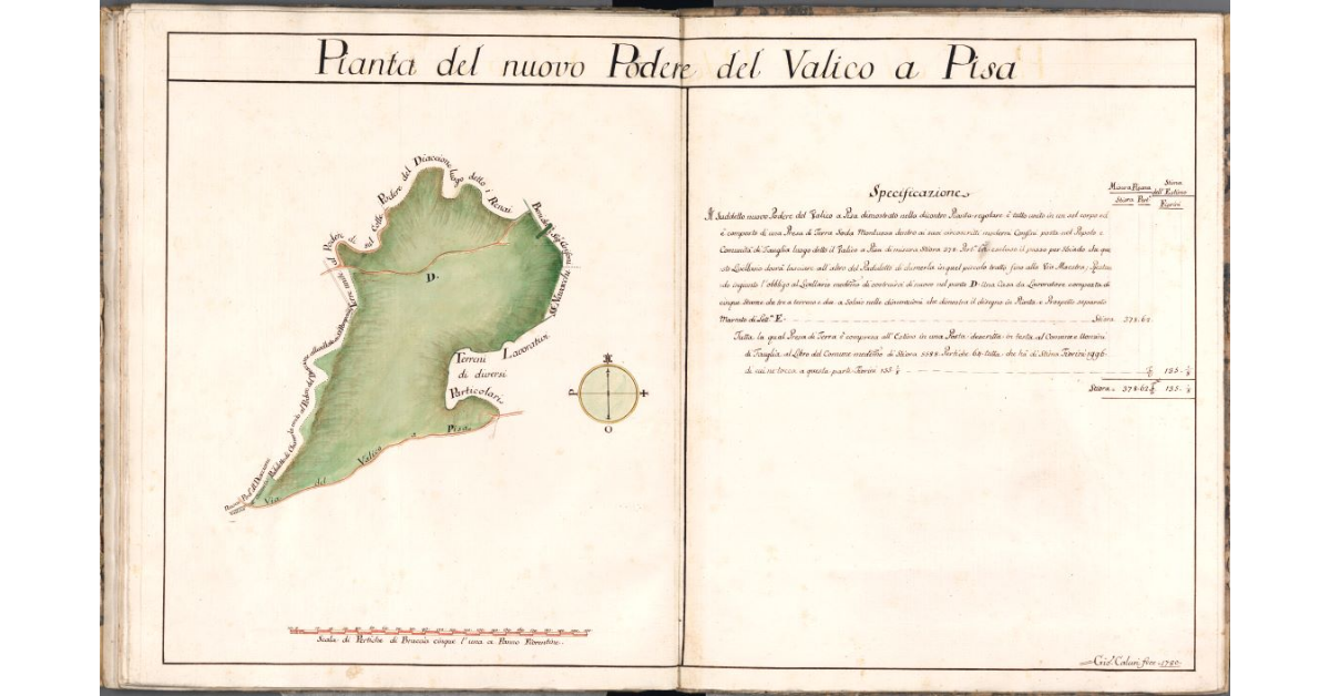 Pianta del nuovo Podere del Valico a Pisa