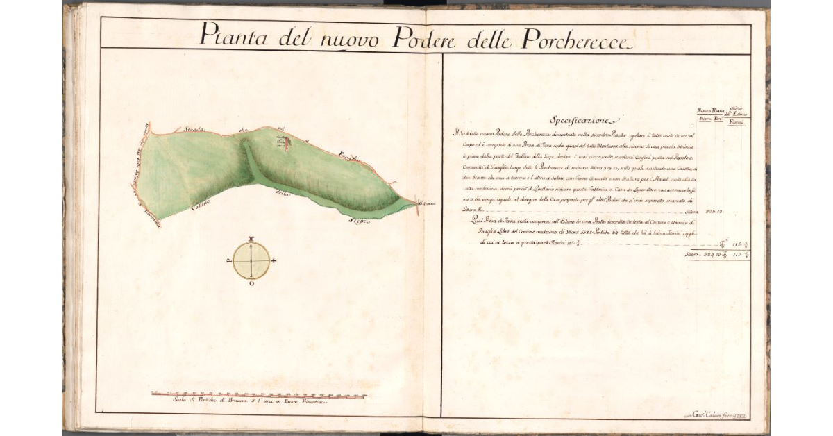 Pianta del nuovo Podere delle Porchereccie