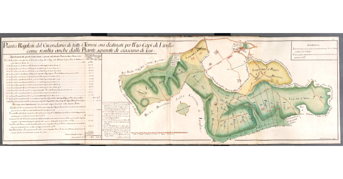 Pianta Regolare del Circondario di tutti i Terreni ora destinati per N. 20 Capi di Livello come resulta anche dalle Piante separate di ciascuno di essi