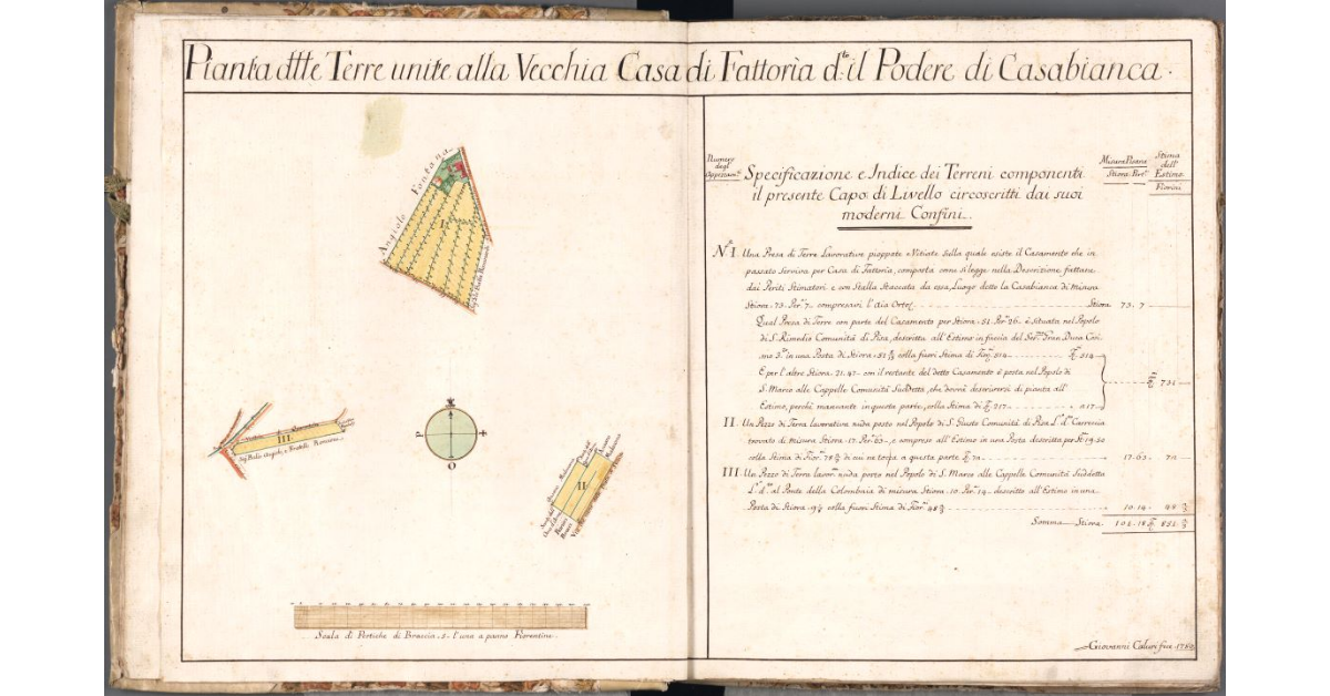 Pianta delle Terre unite alla Vecchia Casa di Fattoria detto il Podere di Casabianca