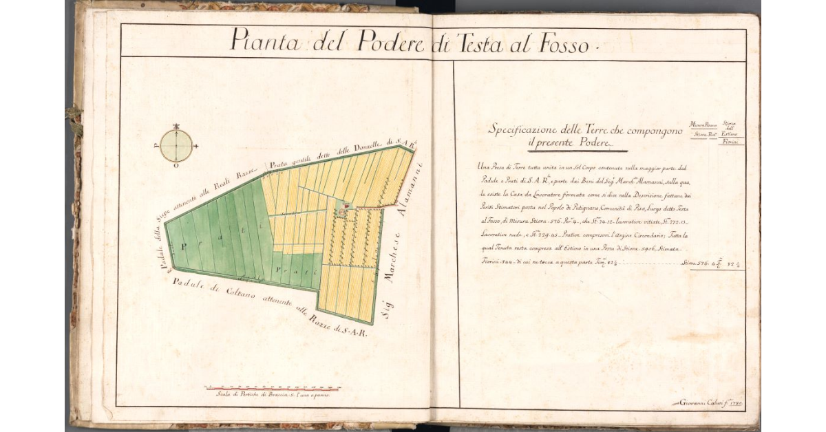 Pianta del Podere di Testa al Fosso
