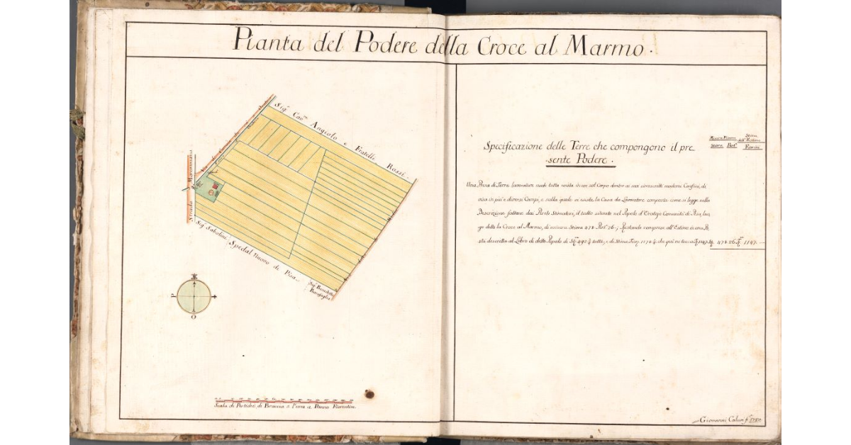 Pianta del Podere della Croce al Marmo