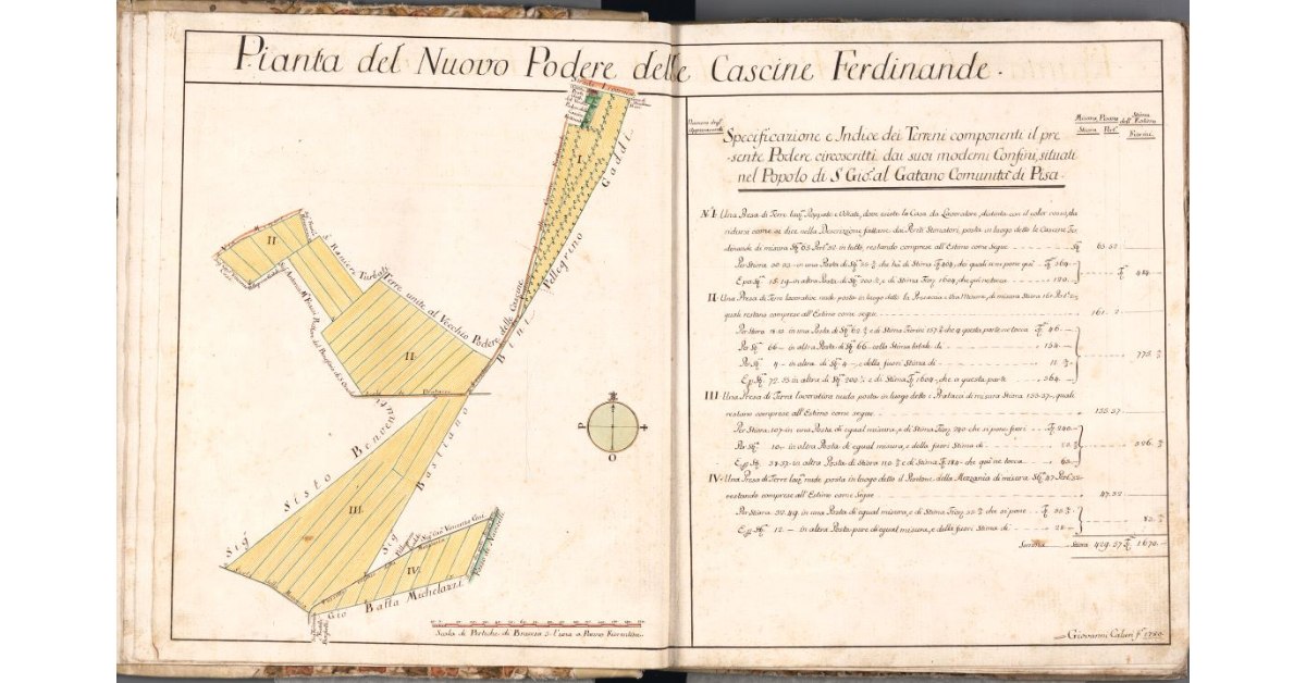 Pianta del Nuovo Podere delle Cascine Ferdinande