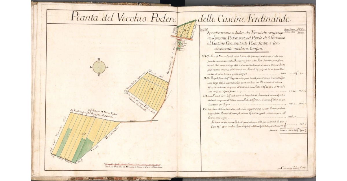 Pianta del Vecchio Podere delle Cascine Ferdinande