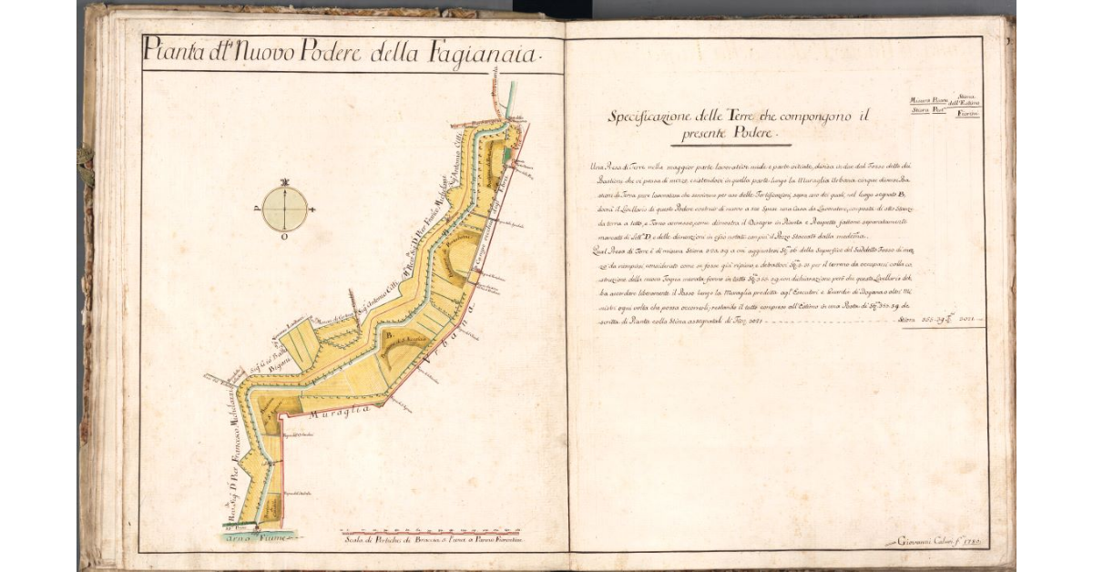 Pianta del Nuovo Podere della Fagianaia