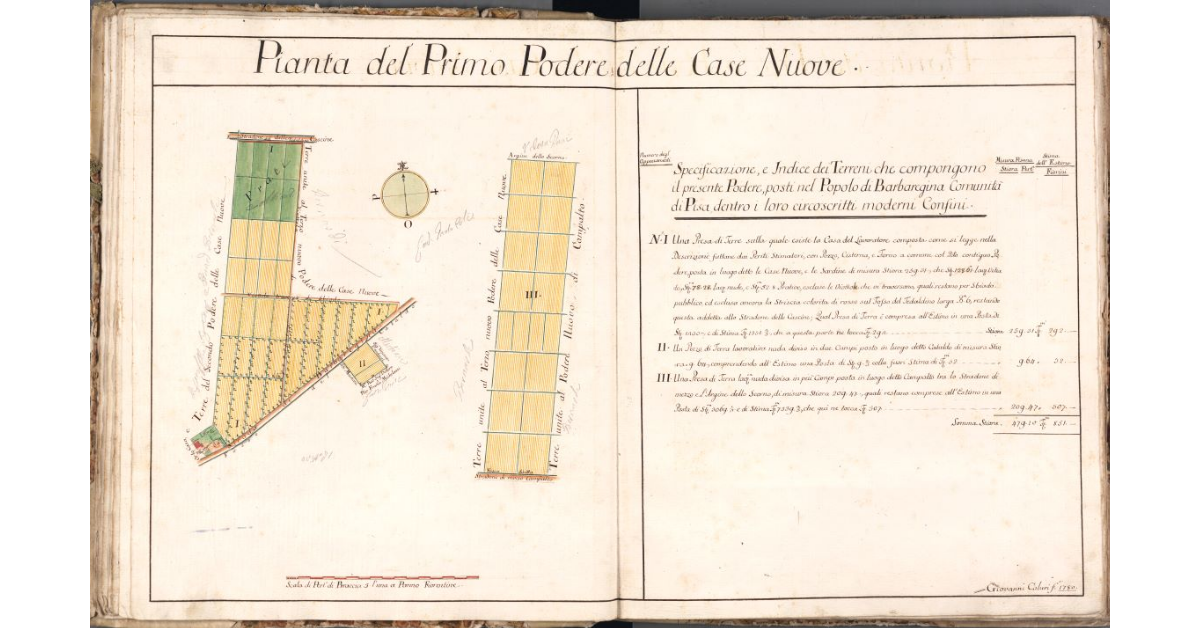 Pianta del Primo Podere delle Case Nuove