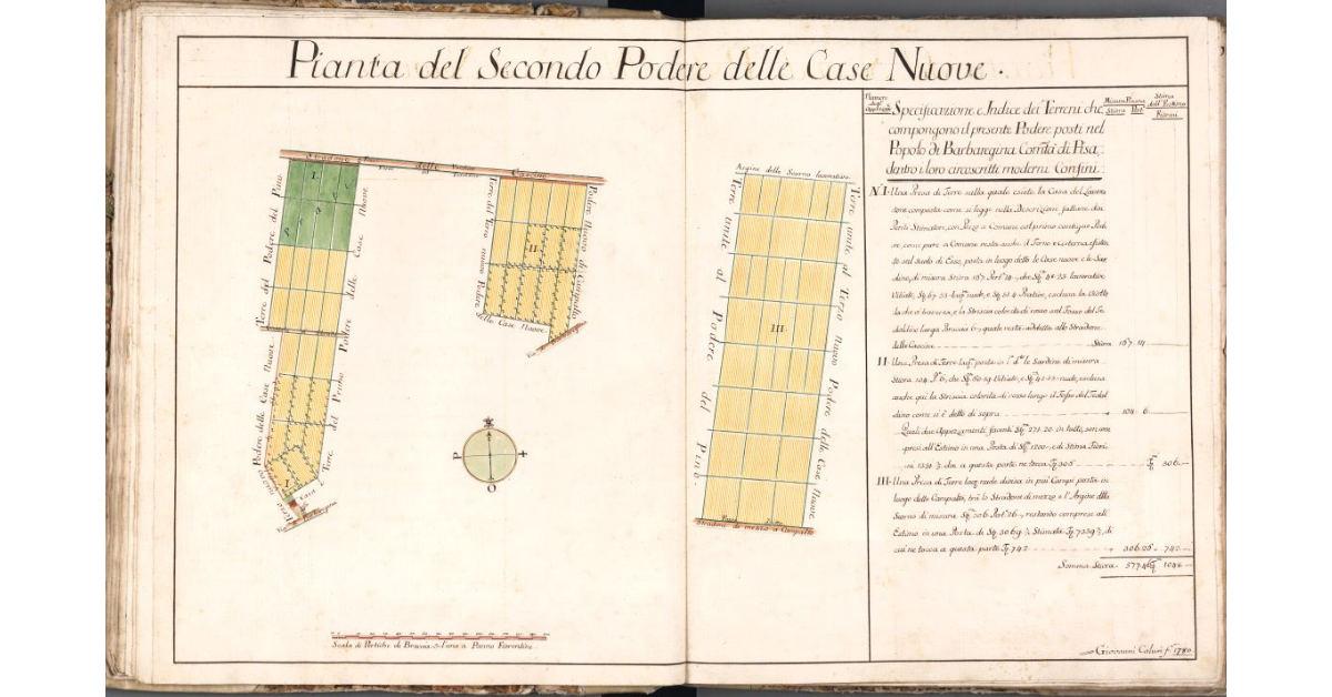 Pianta del Secondo Podere delle Case Nuove