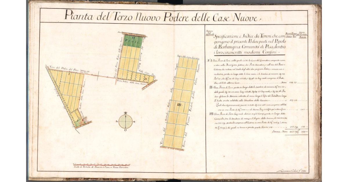 Pianta del Terzo Nuovo Podere delle Case Nuove