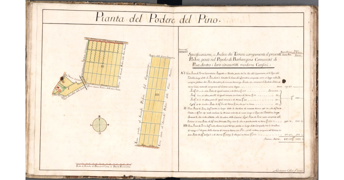 Pianta del Podere del Pino